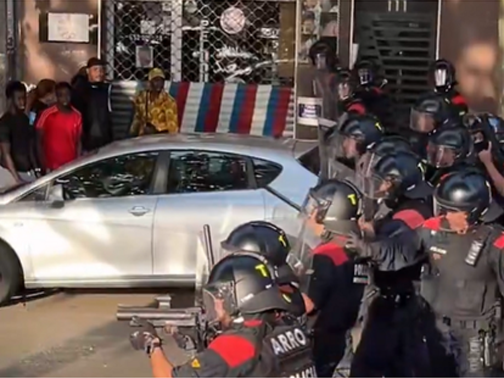 Maxima-agresividad-de-los-perros-de-cuadra-en-desahuciar-una-familia-con-cuatro-menores-en Mataro-3